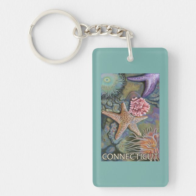 ConnecticutTidepool Scene Keychain (Front)