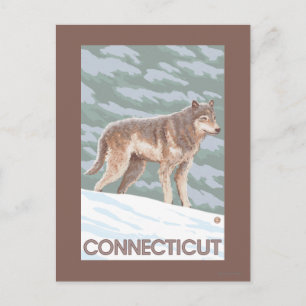 ConnecticutWolf Scene Postcard