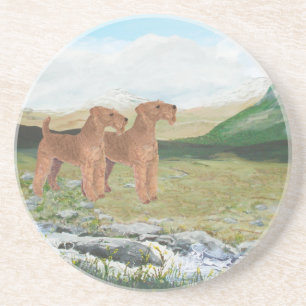 Connemara Countryside Coaster