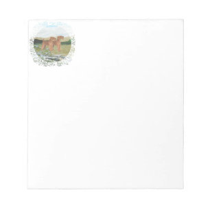 Connemara Countryside Notepad
