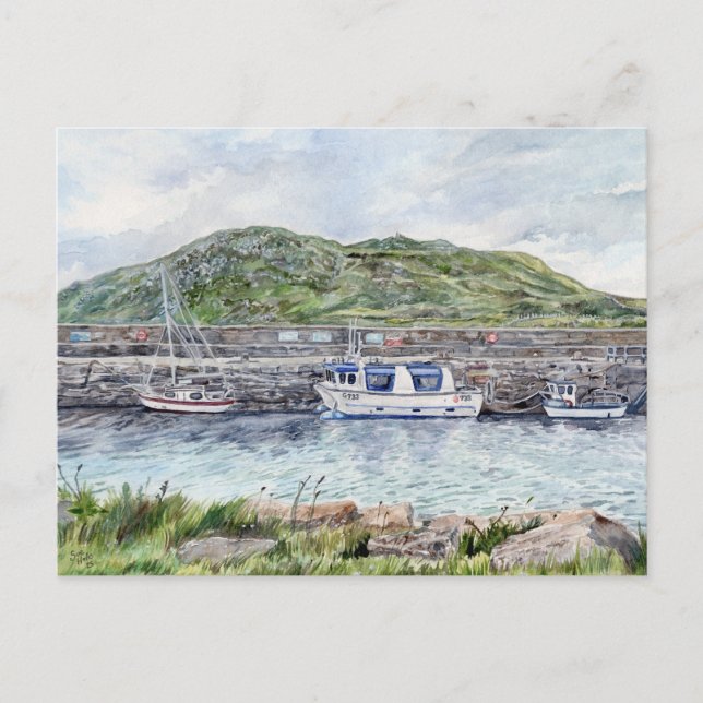 Connemara, Galway Postcard (Front)