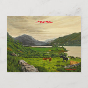 Connemara Ireland Scenic Cattle Farm with Horse Postcard