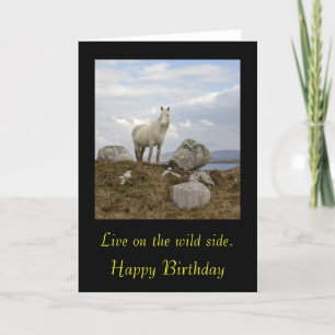 Connemara Pony, Live on the wild side. , Happy ... Card