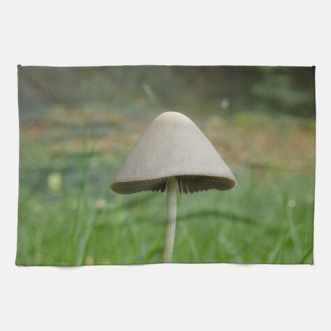 Conocybe rickenii Mushroom Tea Towel (Horizontal)