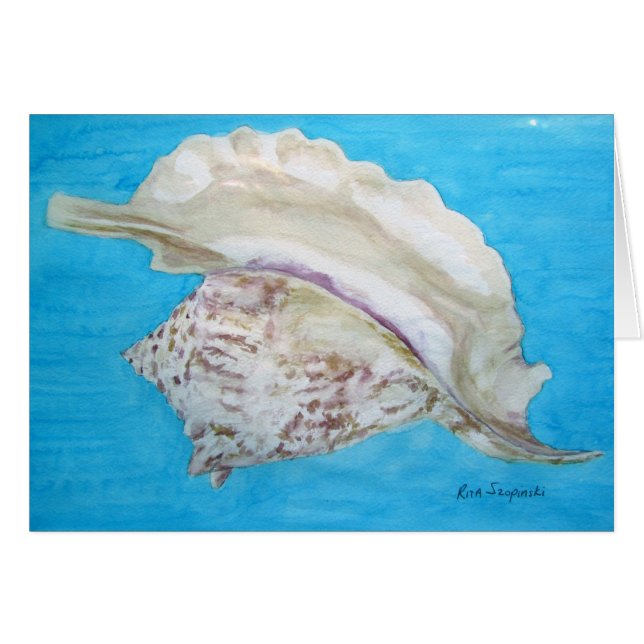 Conque de coq (Devant horizontal)