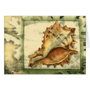 Conque Shell de silhouette
