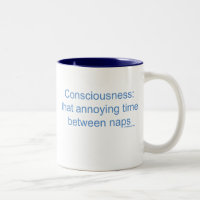 Consciousness: that annoying time between naps