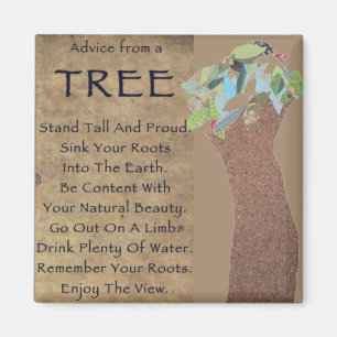 Conseil d'un aimant d'arbre