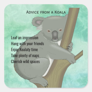 Conseil d'un autocollant Koala Design