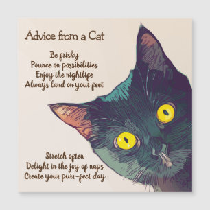 Conseil d'une carte magnétique de chat