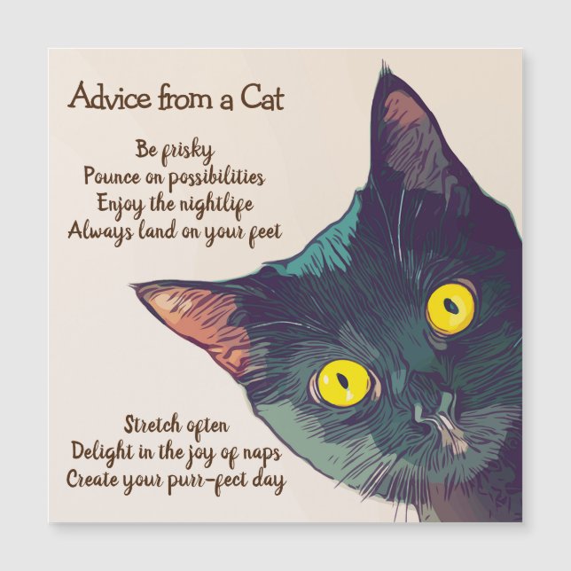 Conseil d'une carte magnétique de chat (Devant)