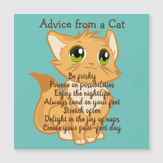 Conseil d'une carte magnétique de chat (Devant)
