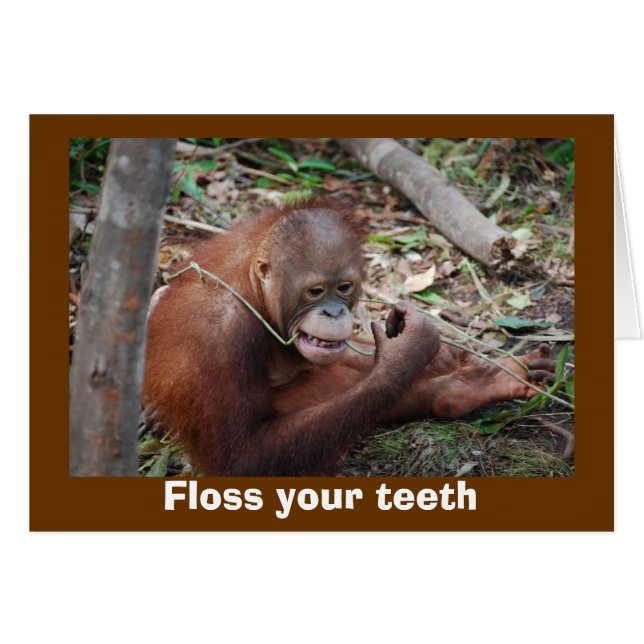 Conseils de santé dentaire mignons pour les dents (Devant horizontal)