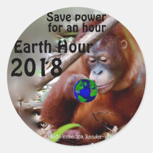 Conservation Earth Hour Classic Round Sticker