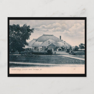 Conservatory, Lincoln Park, Chicago 1908 Vintage Postcard