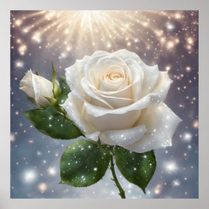 Conserver Ou Créer Votre Propre Poster