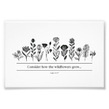 Consider How the Wildflowers Grow