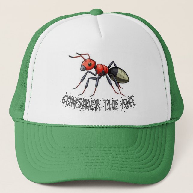 Consider the Ant Hat (Front)
