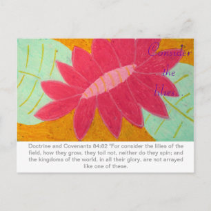 Consider the Lilies D&C postcard