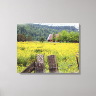 Consider the Lilies of the Field - Matthew 6:28 Canvas Print