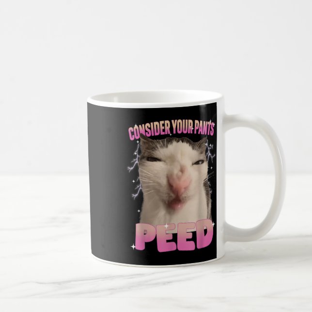 Consider Your Pants Peed Silly Cat Meme Funny Men  Coffee Mug (Right)