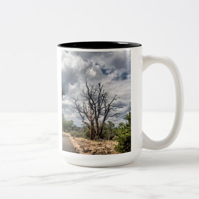 Considérez la tasse de Ravens (Droit)