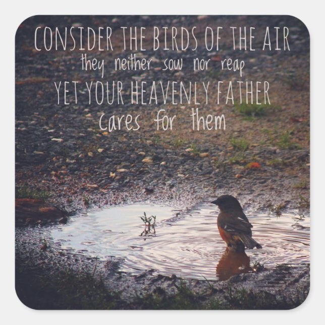 Considérons les oiseaux des stickers aériens (Devant)