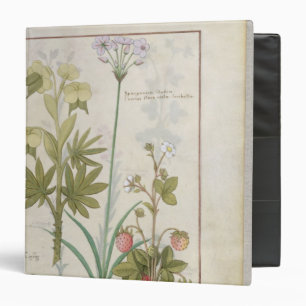 Consiligo, Burreed and Strawberry Binder