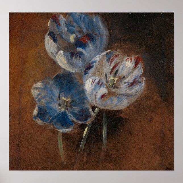 Constable - Study Of Three Parrot Tulips 1832 Poster (Front)