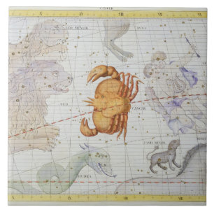 Constellation of Cancer, plate 4 from 'Atlas Coele Tile