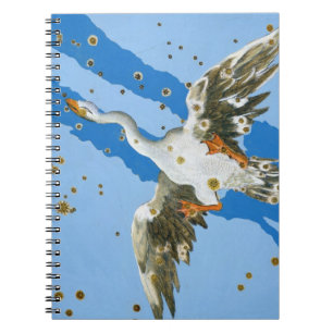 Constellation of Cygnus, from 'Uranometria' writte Notebook