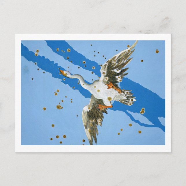 Constellation of Cygnus, from 'Uranometria' writte Postcard (Front)