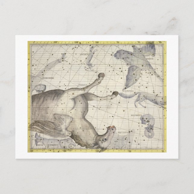 Constellation of Pegasus, plate 25 from 'Atlas Coe Postcard (Front)