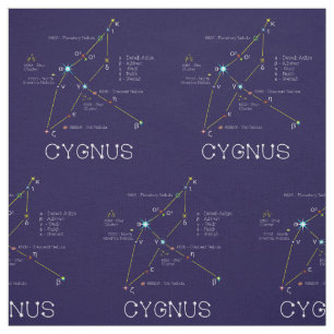 Constellation Of Stars Cygnus Or Swan Fabric