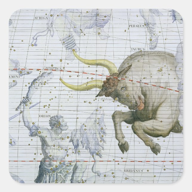 Constellation of Taurus, plate 2 from 'Atlas Coele Square Sticker (Front)