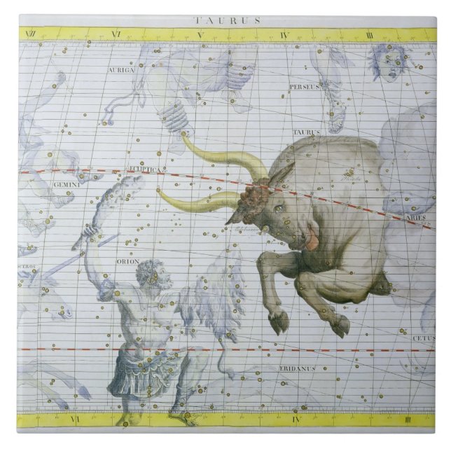Constellation of Taurus, plate 2 from 'Atlas Coele Tile (Front)