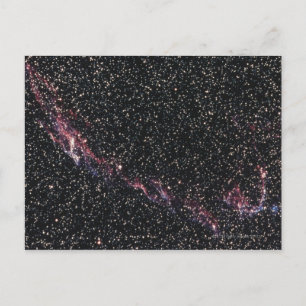 Constellation Postcard
