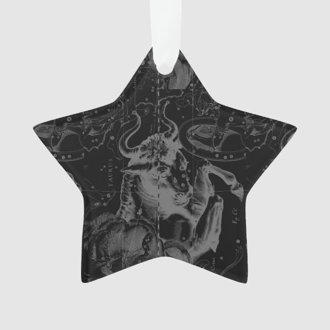Constellation vintage de Taureau par Hevelius (devant)