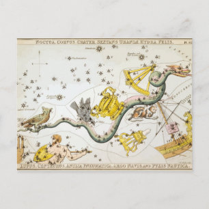 Constellations - Stars - Classic Astronomy Postcard
