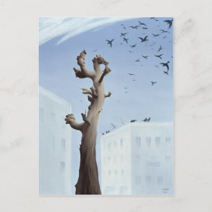 Consternation 2004 postcard