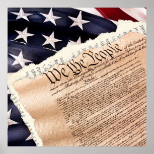 Constitution Poster