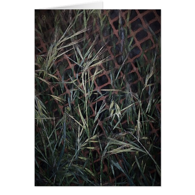 Construction (Devant)