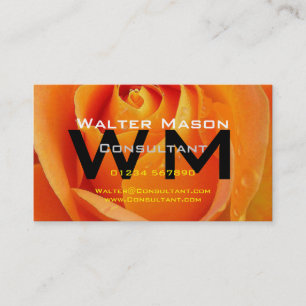 Consultant Create Your Own Easy Generic Business Card