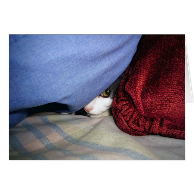 Consultez un livre (Devant horizontal)