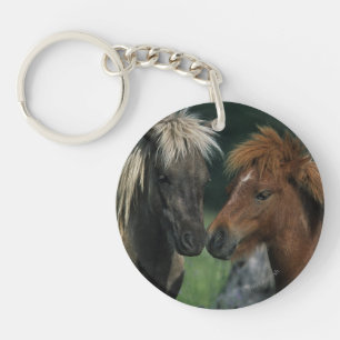 Contact miniature de chevaux