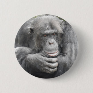 Contemplative Chimpanzee 2 Inch Round Button