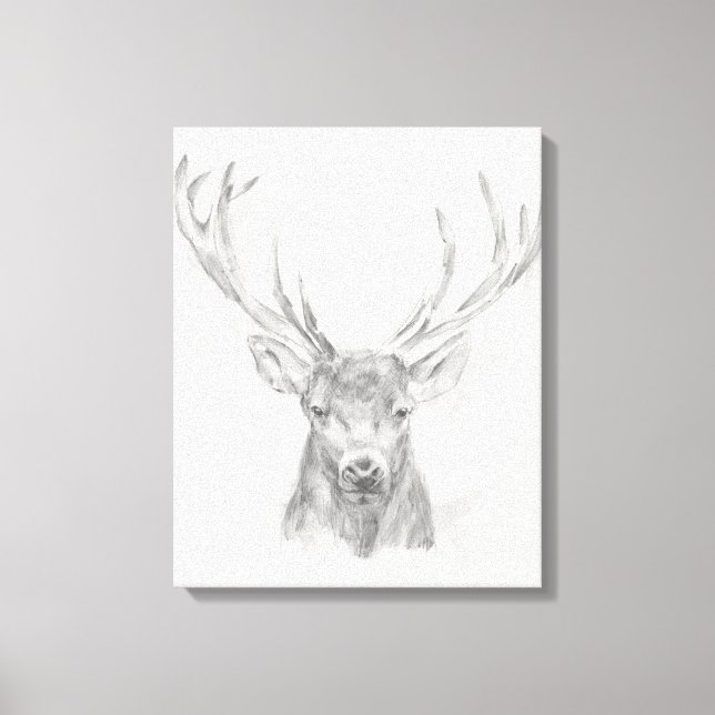Contemporary Elk Sketch Canvas Print (Front)