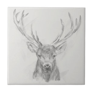 Contemporary Elk Sketch Tile