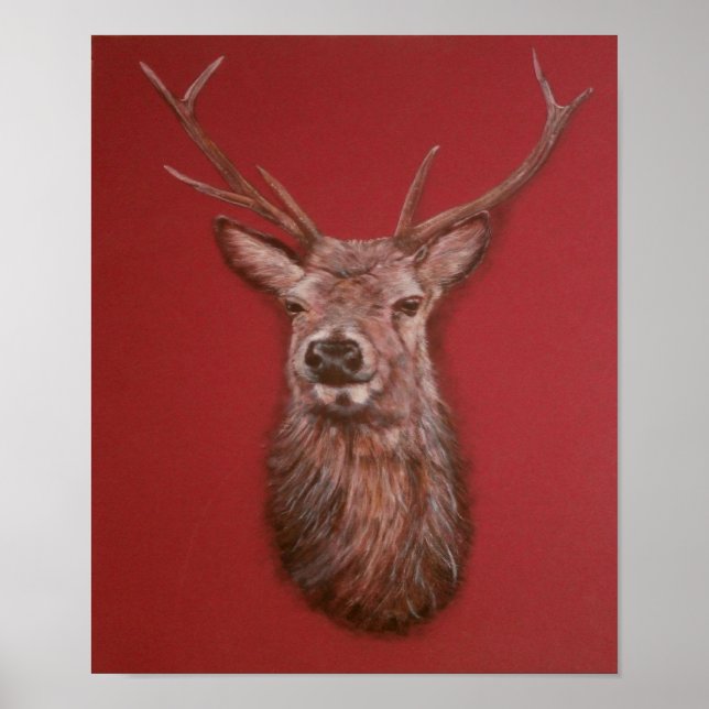 Contemporary Highland Red Deer Stag Poster (Front)