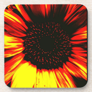 contemporary large sunflower seed head and petals coaster